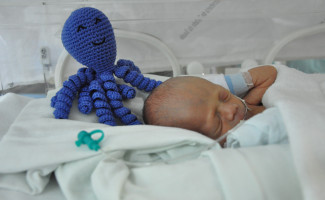 Em clima de natal bebês prematuros do Dona Regina ganham polvos de crochê 