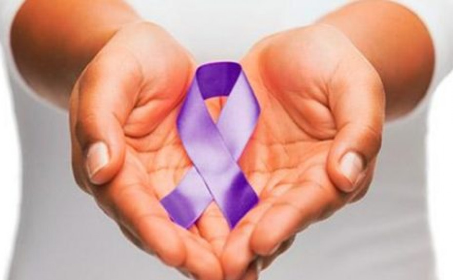 janeiro-roxo-543x289.jpg