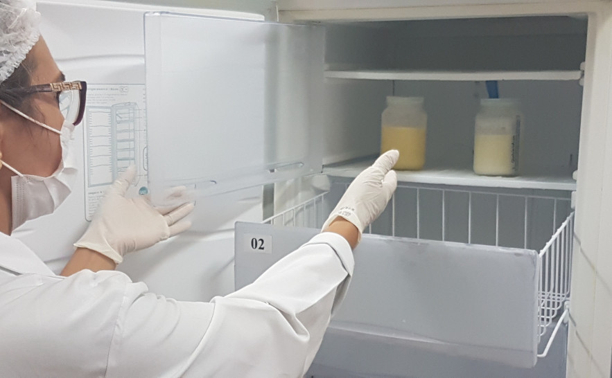 Banco de Leite - Lisane Braga (5).jpg