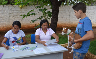 Tocantins se prepara para campanha de vacinação antirrábica deste ano