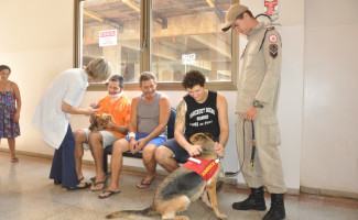 Projeto com cães no HGP e Infantil comemora um ano