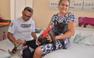 Cinoterapia no HGP e Infantil completa um ano com quase 600 atendimentos