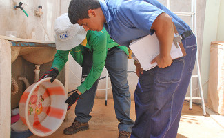 Cerca de 80% dos criadouros do mosquito Aedes aegypti estão dentro das residências