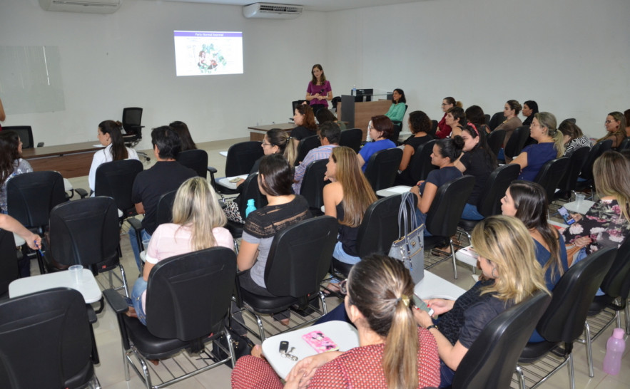 Seminário Atenção ao Parto e Nascimento 