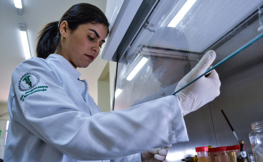 Laboratorio Pesquisa  