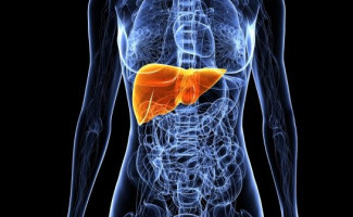 Mês julho traz alerta sobre Hepatites Virais