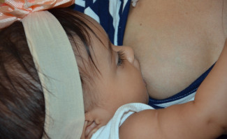 Tocantins terá programação especial para o Agosto Dourado