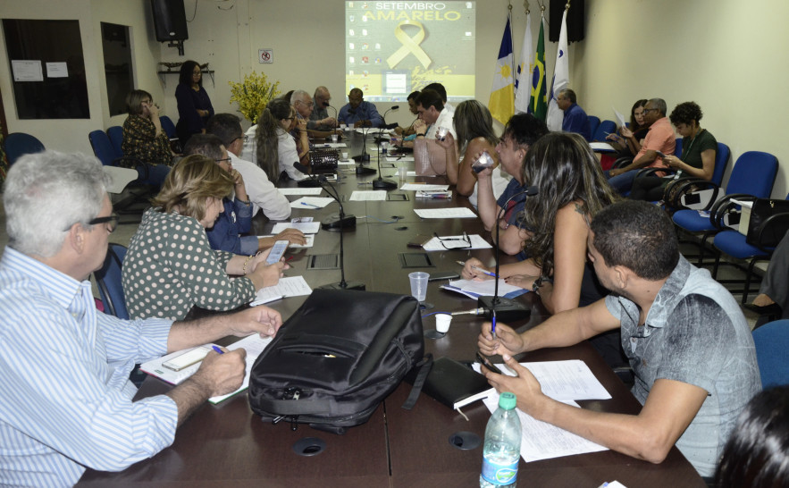 Reunião do Conselho Estadual de saúde - Nielcem Fernandes.JPG