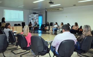 SES participa de reunião no Grupo Condutor da Pnaisp