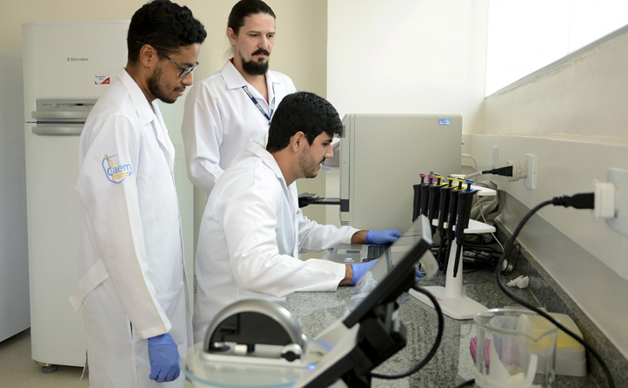 Um projeto desenvolvido por pesquisadores da Universidade Federal do Tocantins (UFT) possibilitará o desenvolvimento de kits de diagnóstico para detecção do zika vírus via análise do DNA.jpg