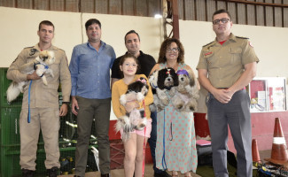 Terapia com cães completa dois anos no HGP