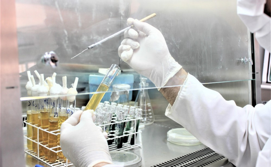 Laboratório de Pesquisa Gurupi 