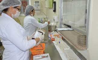 Hemorrede Tocantins tem balanço positivo em 2019