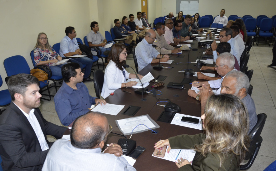 Reunião Conselho Estadual de Saúde