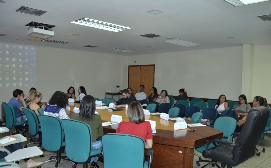 Reunião Comitê de Óbitos Materno, Fatal e Infantil aconteceu em Palmas