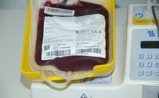 Hemorrede faz apelo à população para retomarem doação de sangue 