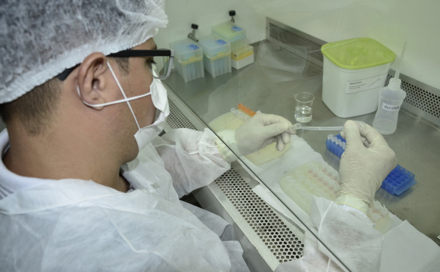 Inicialmente a parceria irá garantir maior acesso aos testes RT-PCR para a região norte do Estado.