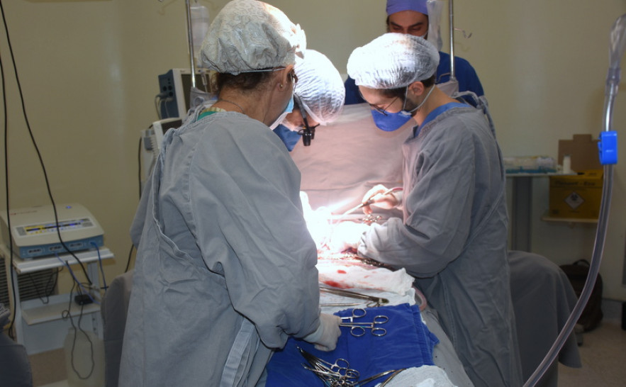 Captação de Orgãos HGP