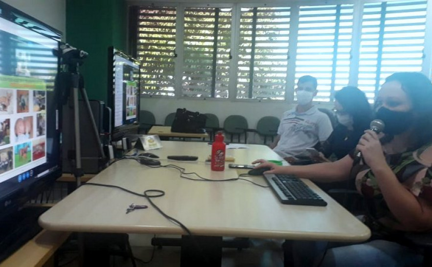 As webconferências levam informações novas e atualizadas para os técnicos nos municípios sobre as ações de vigilância e prevenção da raiva humana e animal.