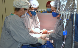 Hospital Geral de Palmas realiza nova captação de órgãos