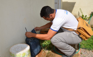 Tocantins celebra queda na incidência dos casos de Dengue, Zika e Chikungunya