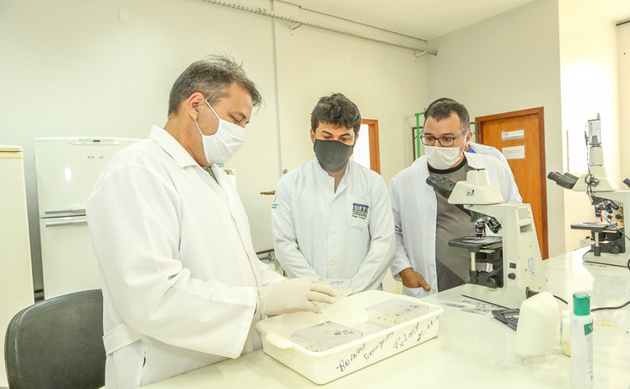 Equipe de pesquisadores, coordenada pelo cientista, Raimundo Wagner, desenvolvem projeto inédito no Tocantins 