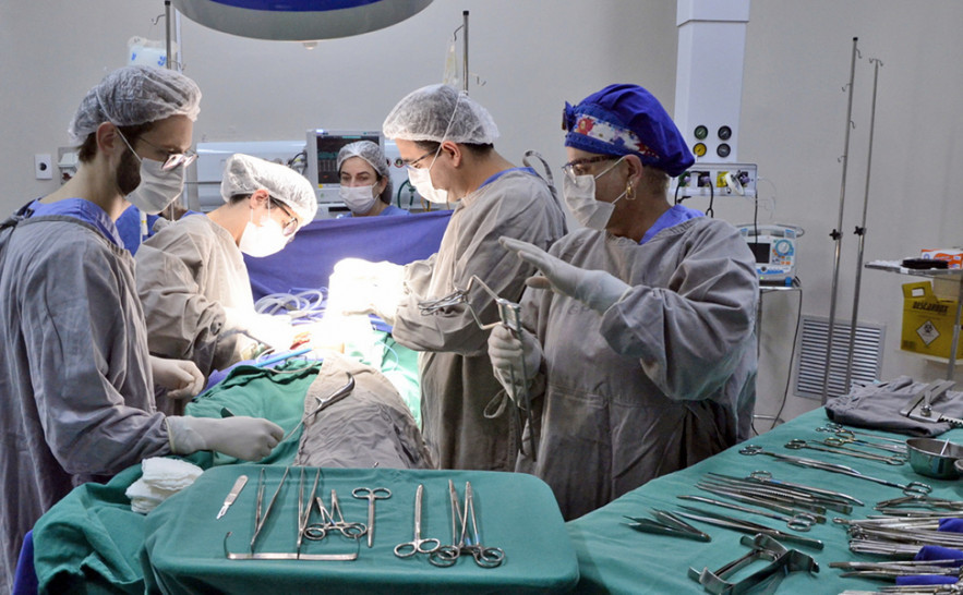 Os órgãos beneficiaram pacientes que aguardam na fila de transplante do Tocantins e São Paulo