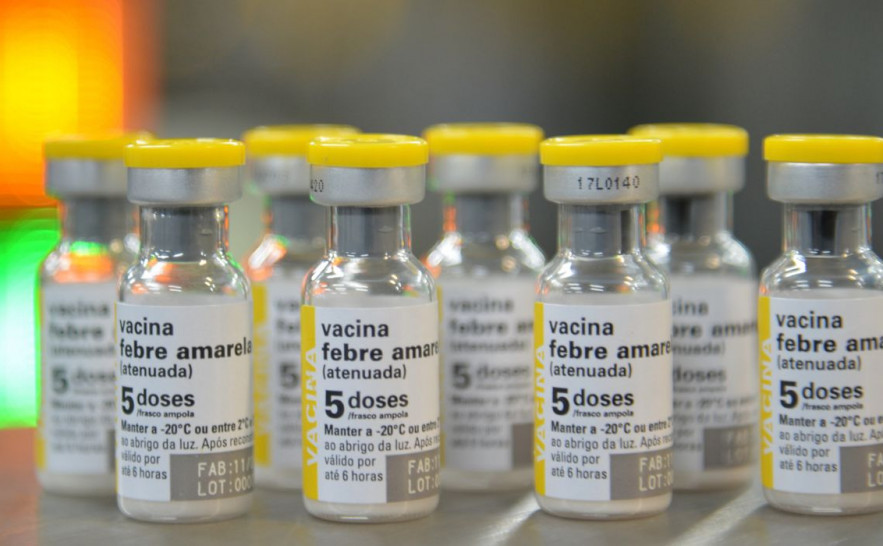 Vacina febre Amarela 