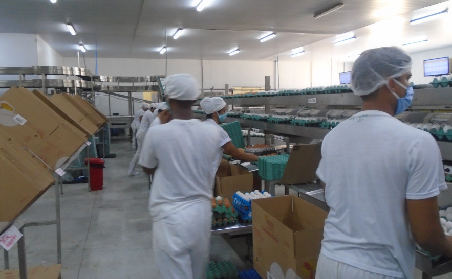 Foto3-Ação de saúde do trabalhador em empresa avícola.jpg