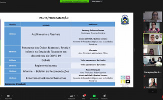 Comitê de Prevenção de Óbito Materno, Fetal e Infantil realiza 1ª reunião ordinária de 2021